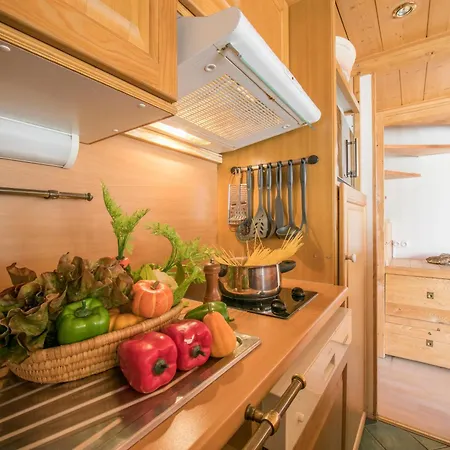 Grand Roc - Ancolies 206 Happy